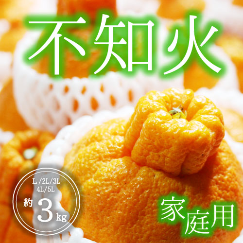 不知火<家庭用>（3kg）出荷日:2月中旬～3月中旬