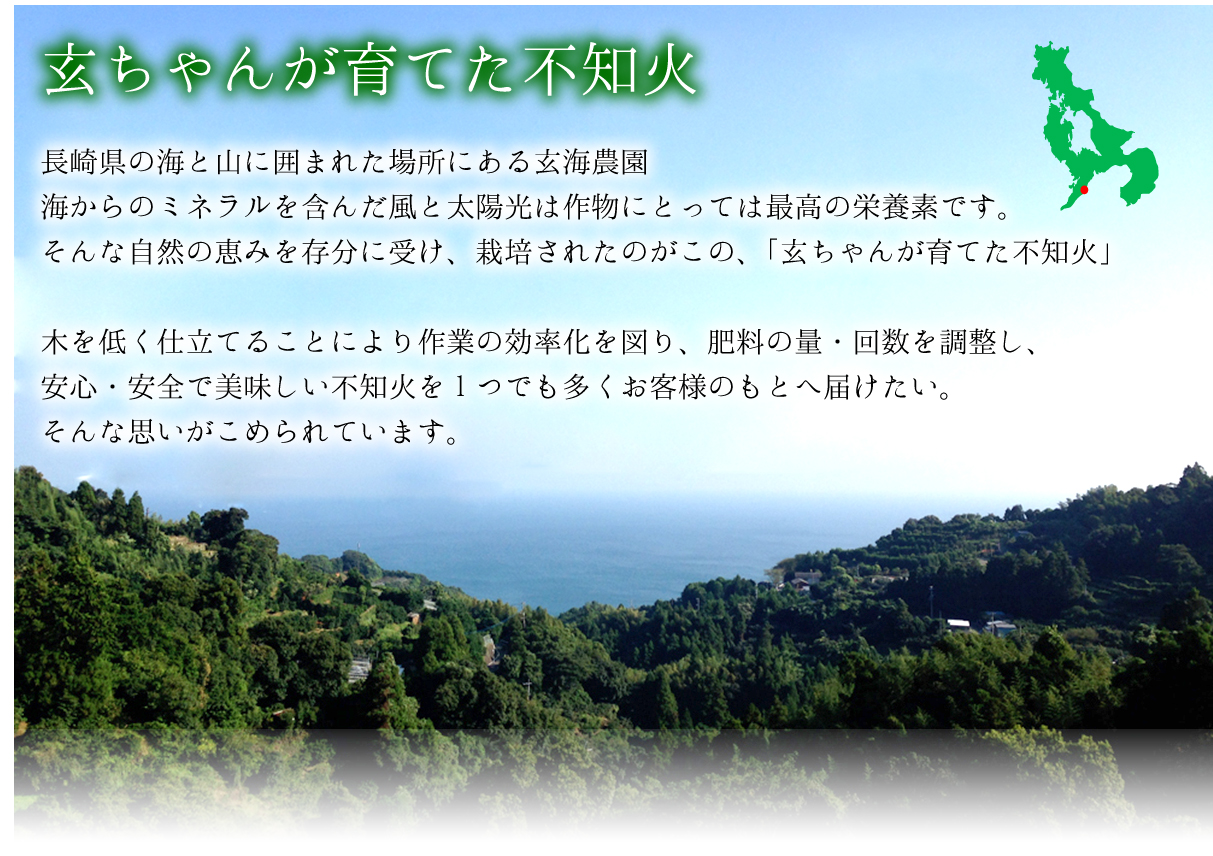 みかんづくりのこだわりアミノ酸をとり入れた葉面散布　木を低く仕立て、太陽の光を十分に当て作業の効率化を高めています　肥料の回数、量の調節をし、美味しいみかんづくりを心掛けています