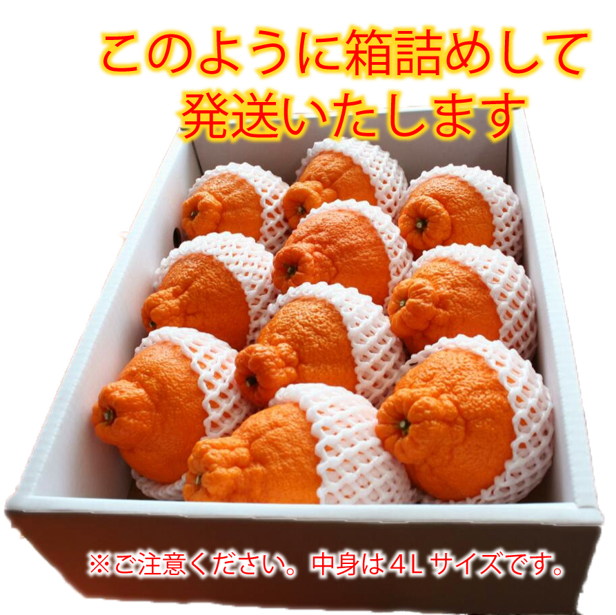 箱詰め　このように箱詰めして発送いたします