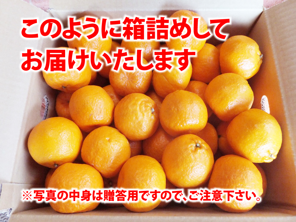 お届けこのように箱詰めして発送いたします