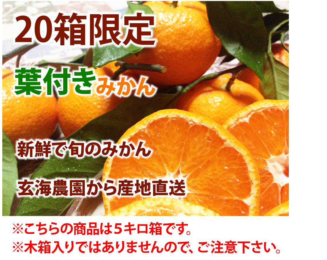 温州みかん商品画像