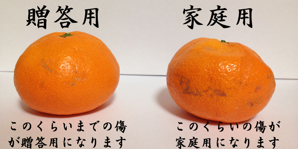 贈答用と家庭用商品画像
