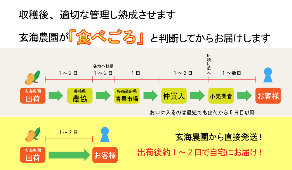 つまり新鮮度が違うんです
