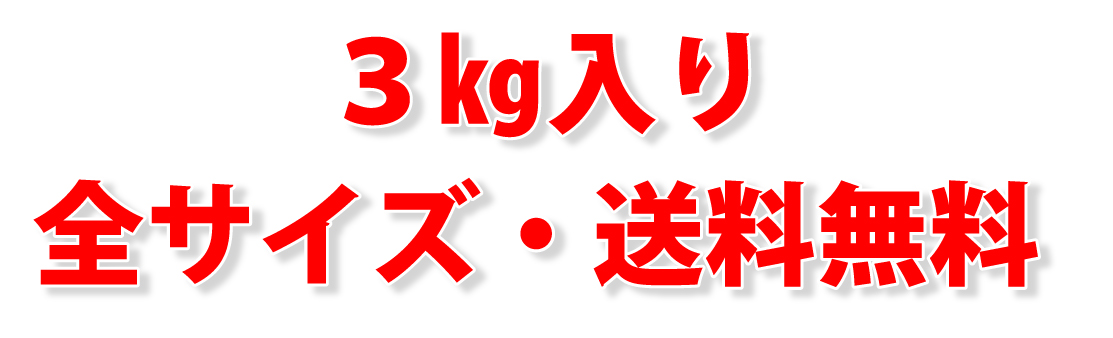 送料無料　税込、送料無料