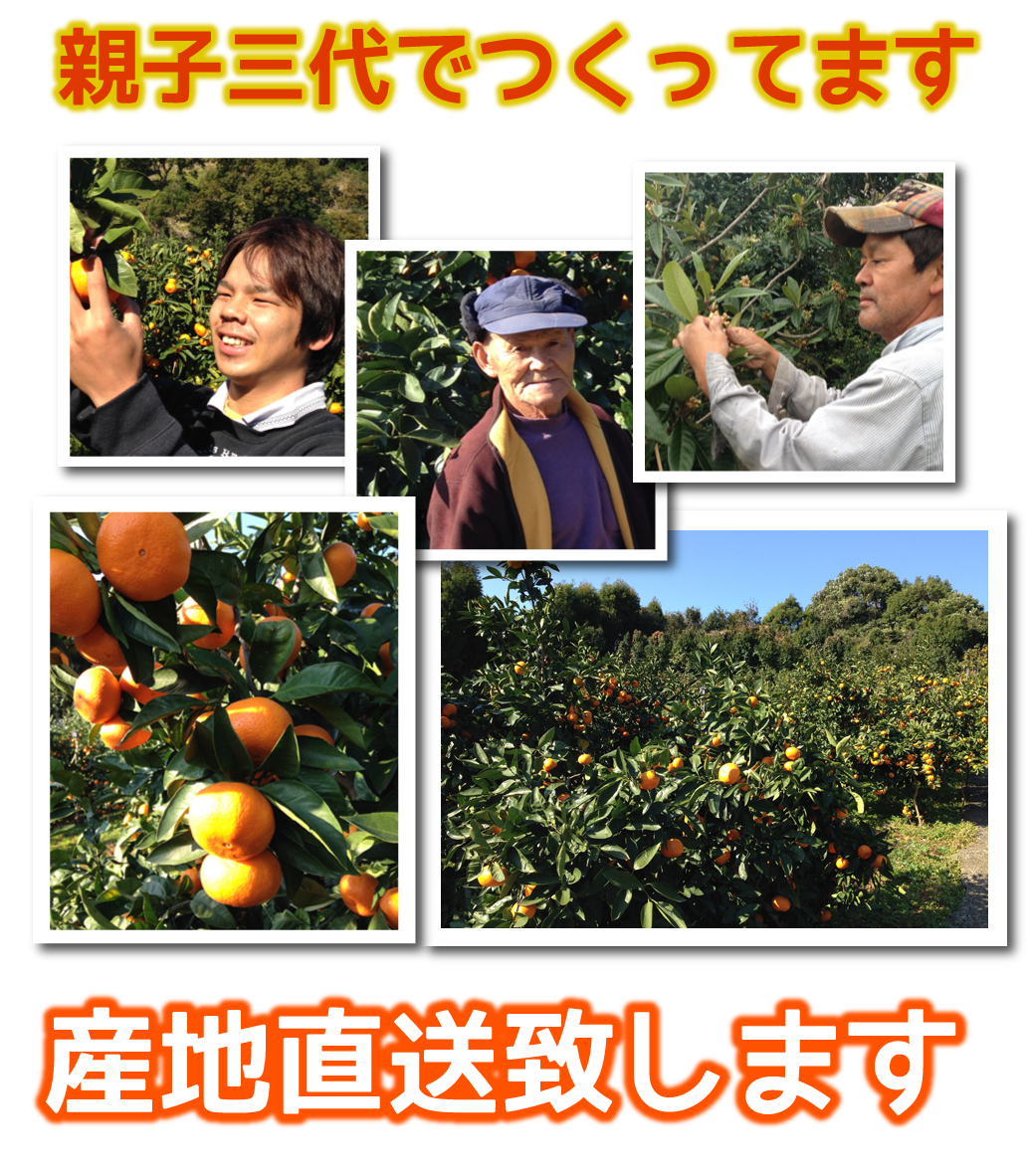 スタッフ紹介初めまして私が玄海農園の山崎玄海です。当農園は海、山に囲まれた自然豊かなところにあります。その環境で育った果実はとてもジューシーでみずみずしいです。収穫からは選別、箱詰めまですべて手作業で行い、私達の愛情とこだわりの詰まった一箱になっています。お客様が美味しいと満足して頂けるよう心を込めて商品をお届けします。