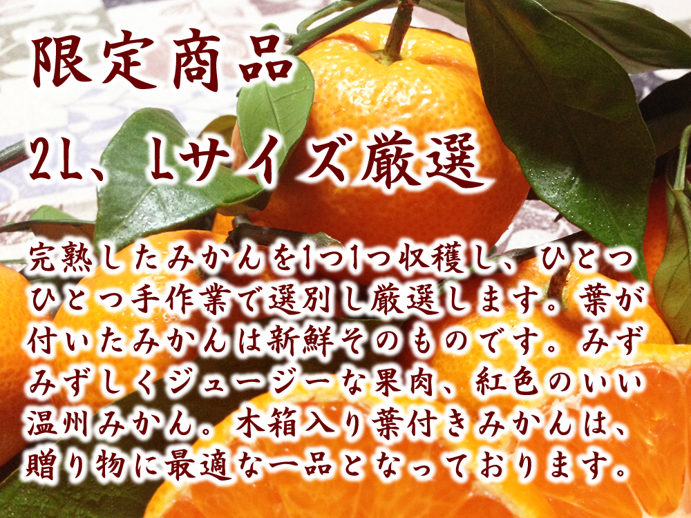 限定商品　完熟したみかんを1つ1つ収穫し、1つ1つ選別し厳選します。葉が付いたみかんは新鮮そのものです。みずみずしくジューシーな果肉、紅色のいい温州みかん。木箱入り葉付きみかんは贈り物に最適な一品となっています。