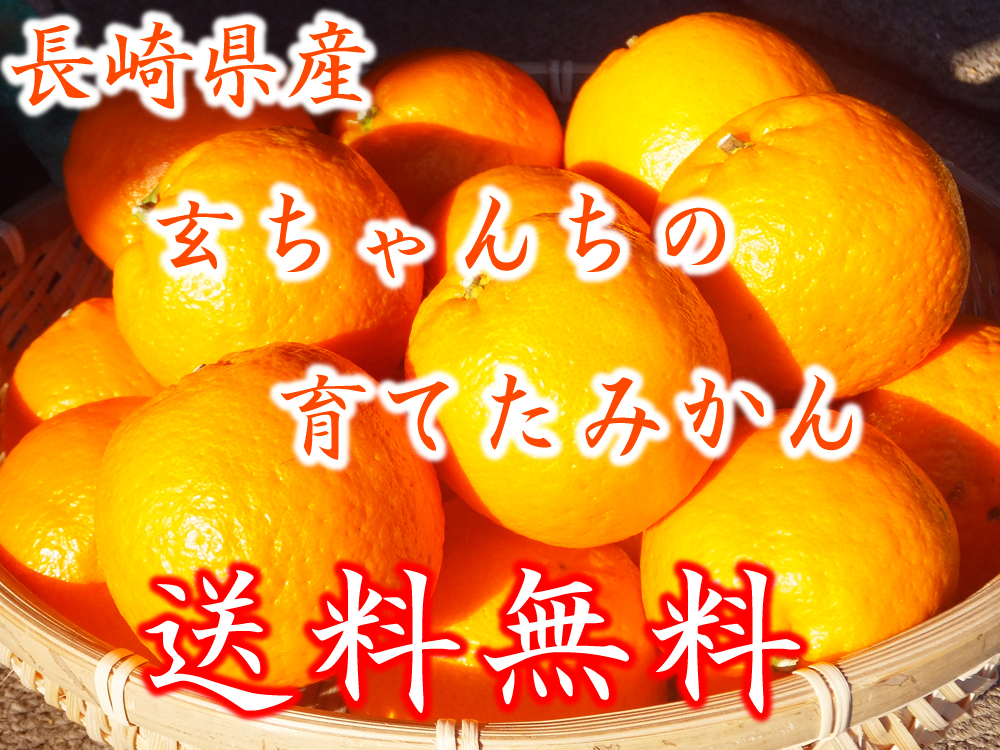 商品画像げんちゃんちの育てたみかん