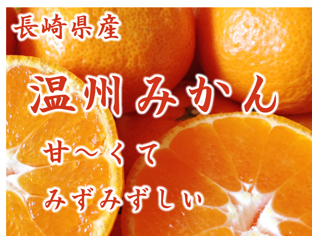 温州みかん商品画像